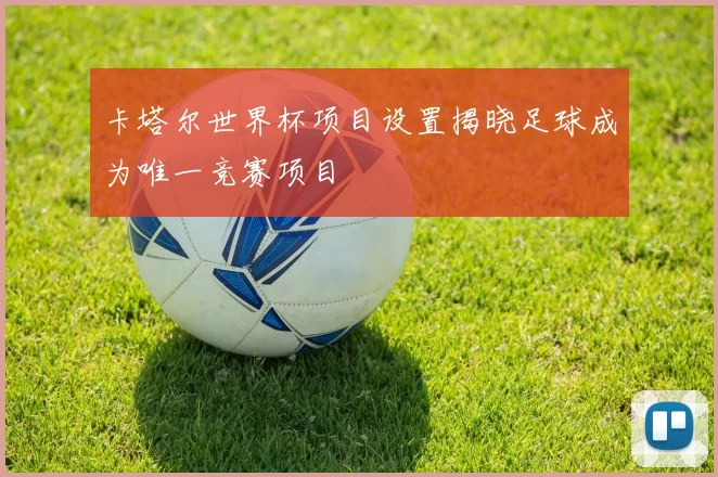 卡塔尔世界杯项目设置揭晓足球成为唯一竞赛项目