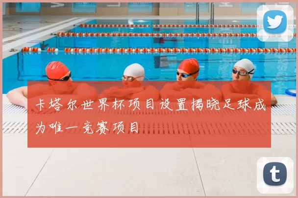 卡塔尔世界杯项目设置揭晓足球成为唯一竞赛项目