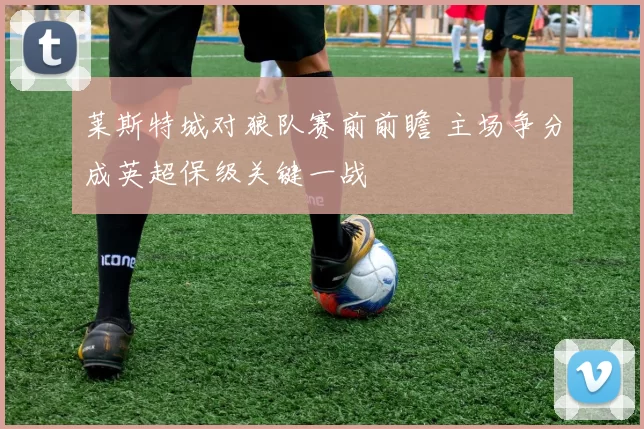 莱斯特城对狼队赛前前瞻 主场争分成英超保级关键一战