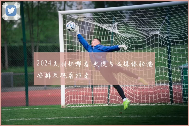 2024美洲杯哪看 央视与流媒体转播安排及观看指南