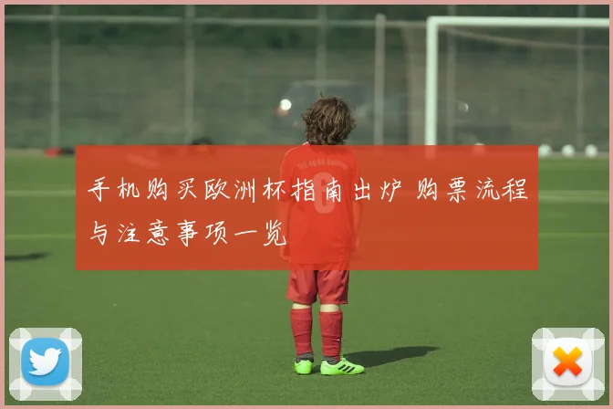 手机购买欧洲杯指南出炉 购票流程与注意事项一览