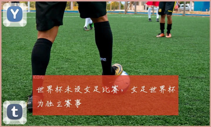 世界杯未设女足比赛,女足世界杯为独立赛事