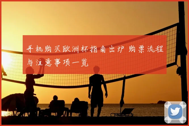 手机购买欧洲杯指南出炉 购票流程与注意事项一览