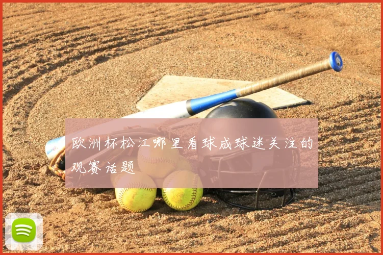 欧洲杯松江哪里看球成球迷关注的观赛话题