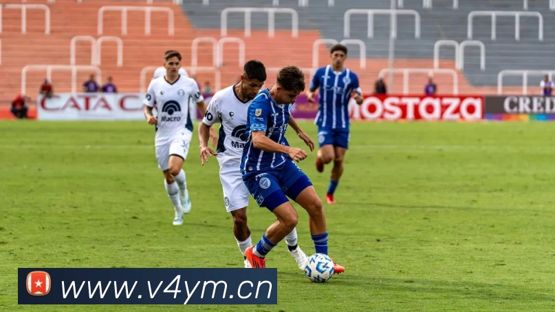 B体育·(B - sports)官方网站平台生态图